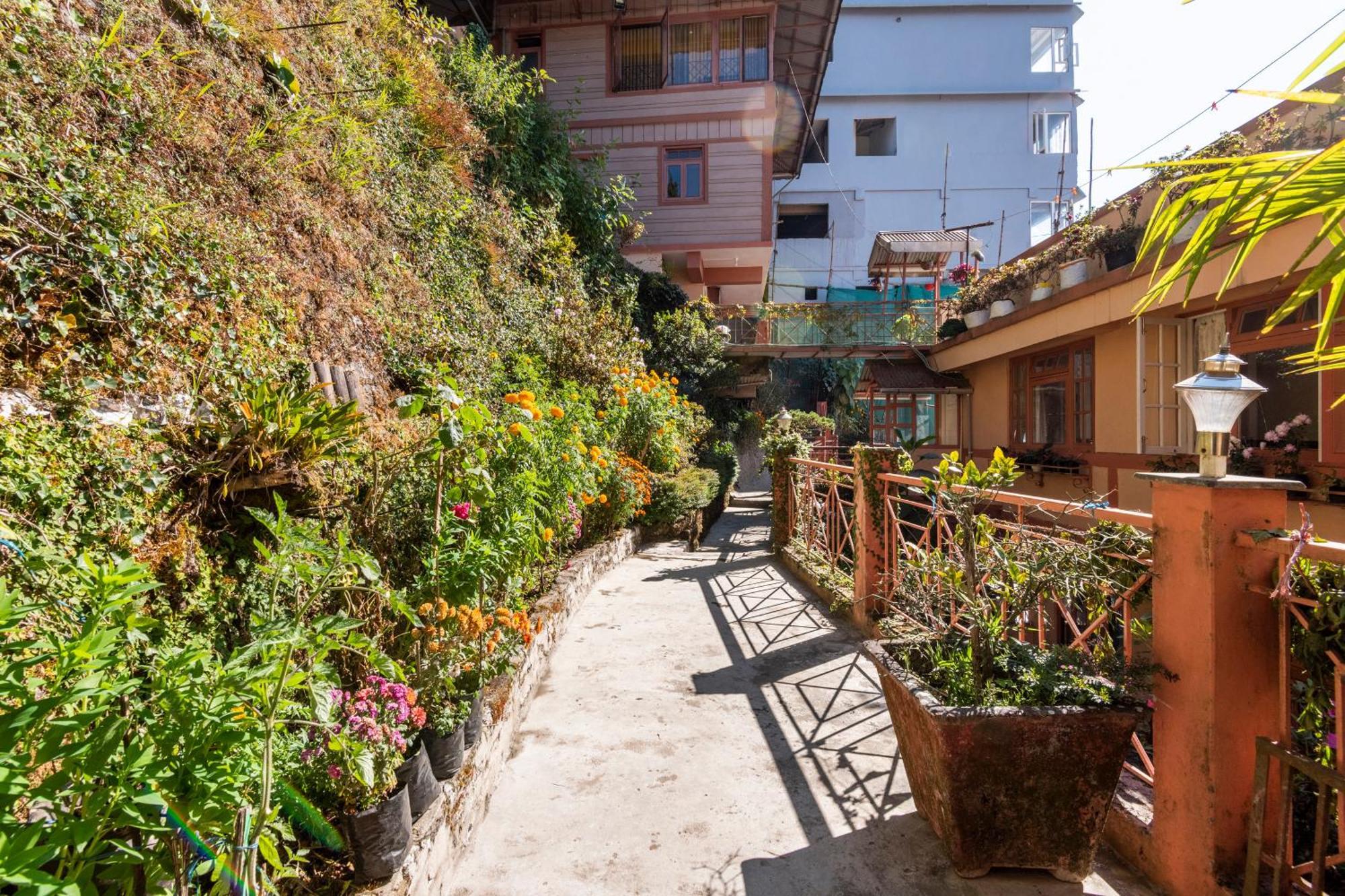 Little Singamari Home Stay ダージリン エクステリア 写真